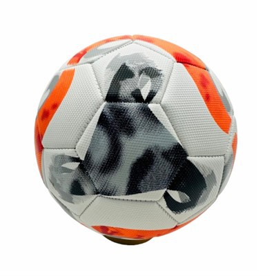 Тренувальний матч футбольний м'яч